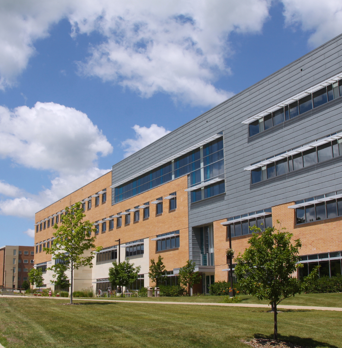 University Management System