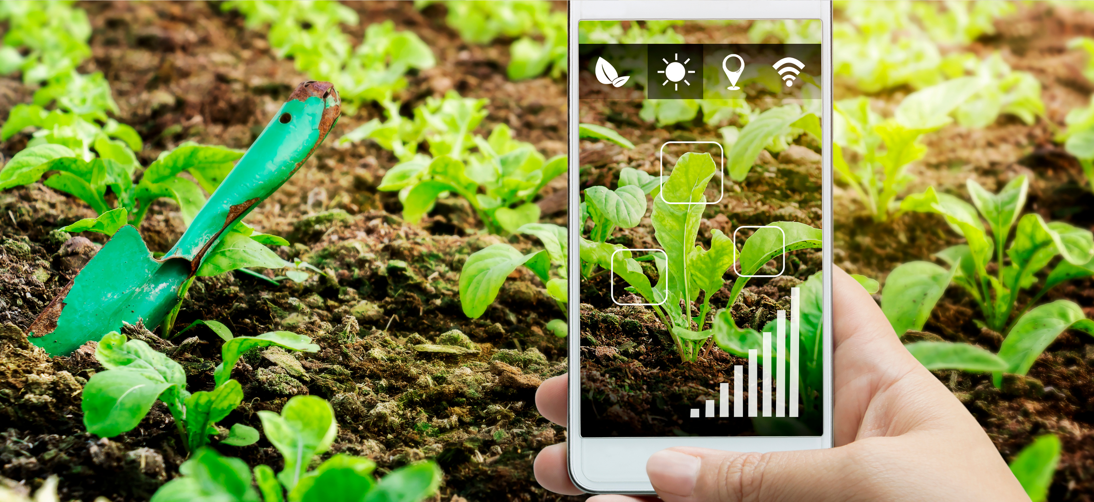 Farmer Producer Organistation